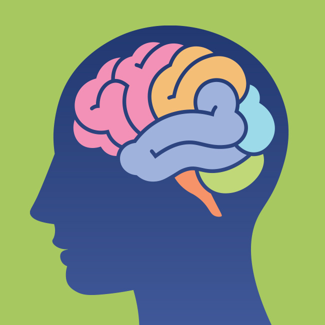 Head with colorful brain